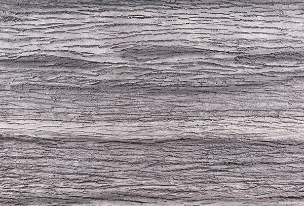 wood-shell-milk-ahsap-duvar-paneli.webp